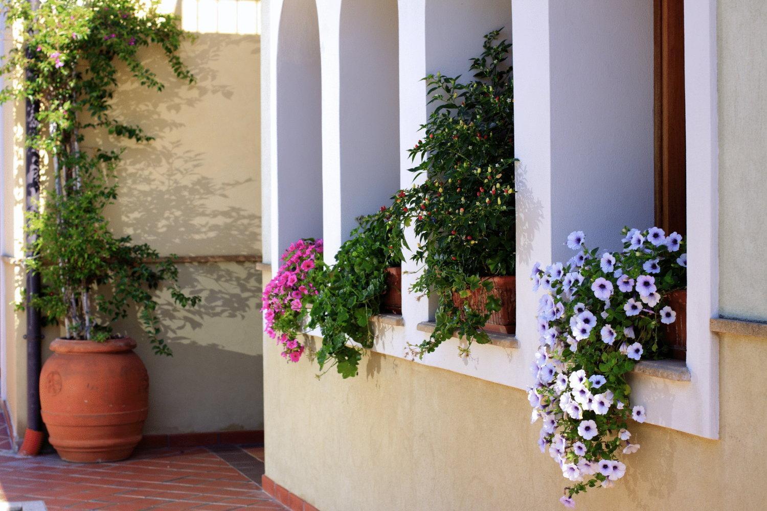 Hotel L'Ulivo Girasole Eksteriør billede